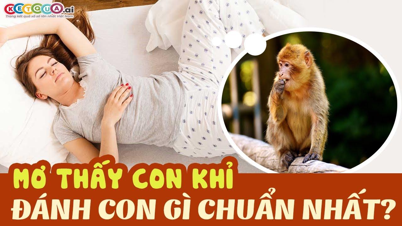 Con khỉ là số mấy ? Nằm mơ thấy khỉ đánh con gì ?