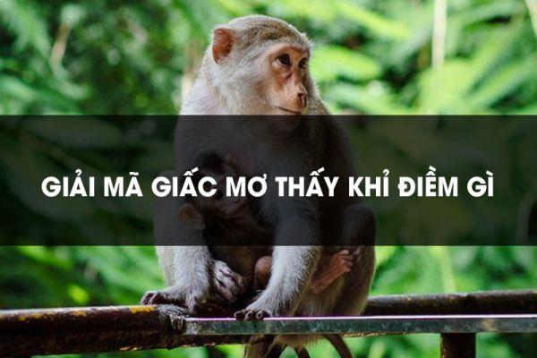 Nằm mơ thấy con khỉ là số mấy? Đánh con gì?