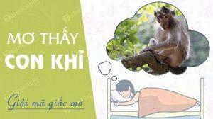 Nằm mơ thấy con khỉ