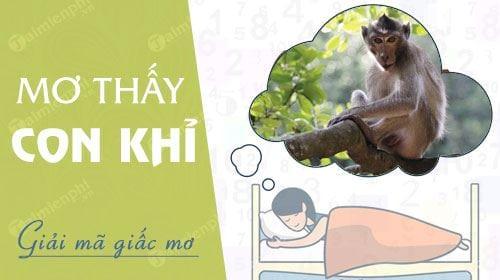 Nằm mơ thấy con khỉ