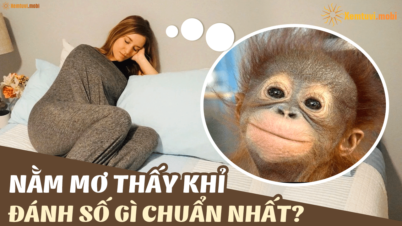 Mơ thấy nhiều con khỉ bao vây mình